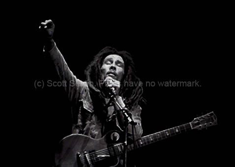 Featured Bob Marley Print